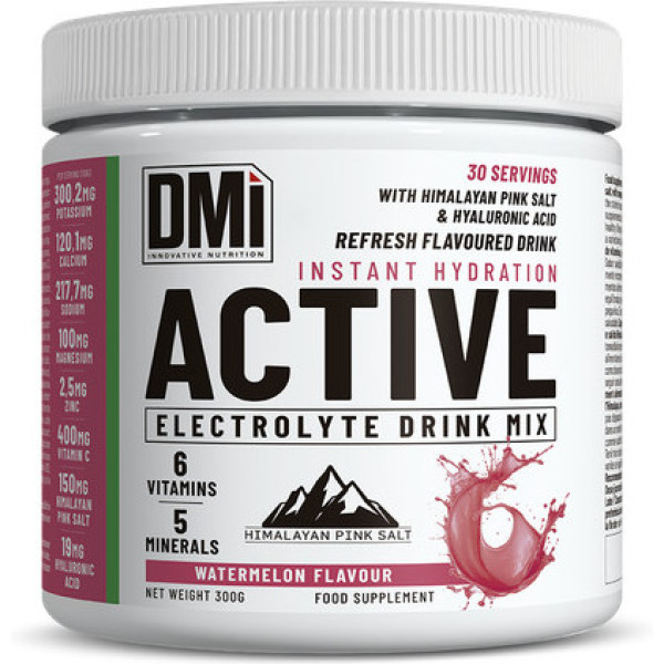 ACTIVE 300GR